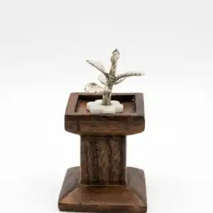 Miniature 925 Silver Tulsi Plant with Wooden Tulsi Chaura - Divine Idol for Pooja